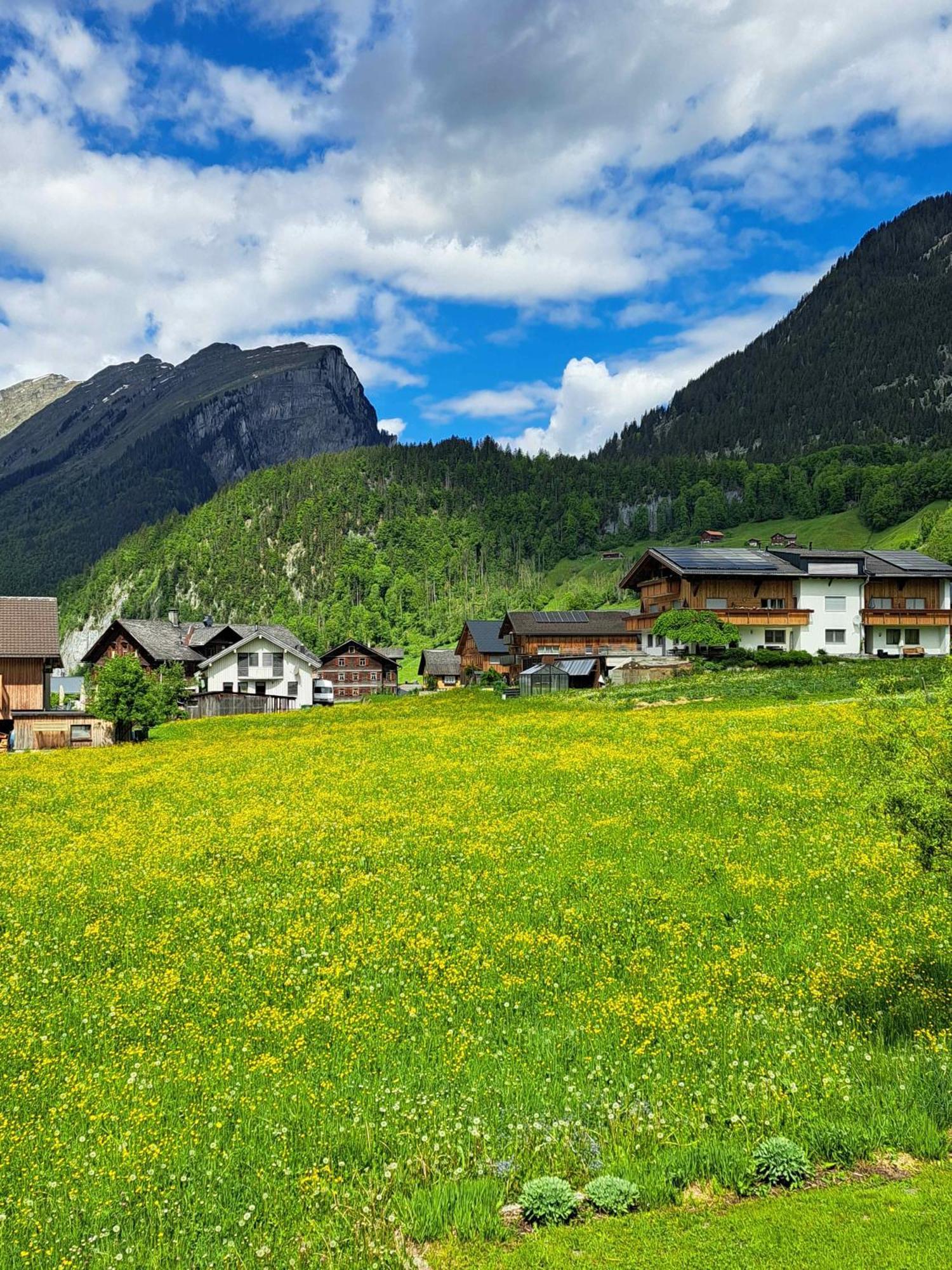 Familienfreundliches Bregenzerwaelderhaus Βίλα Au (Vorarlberg) Εξωτερικό φωτογραφία