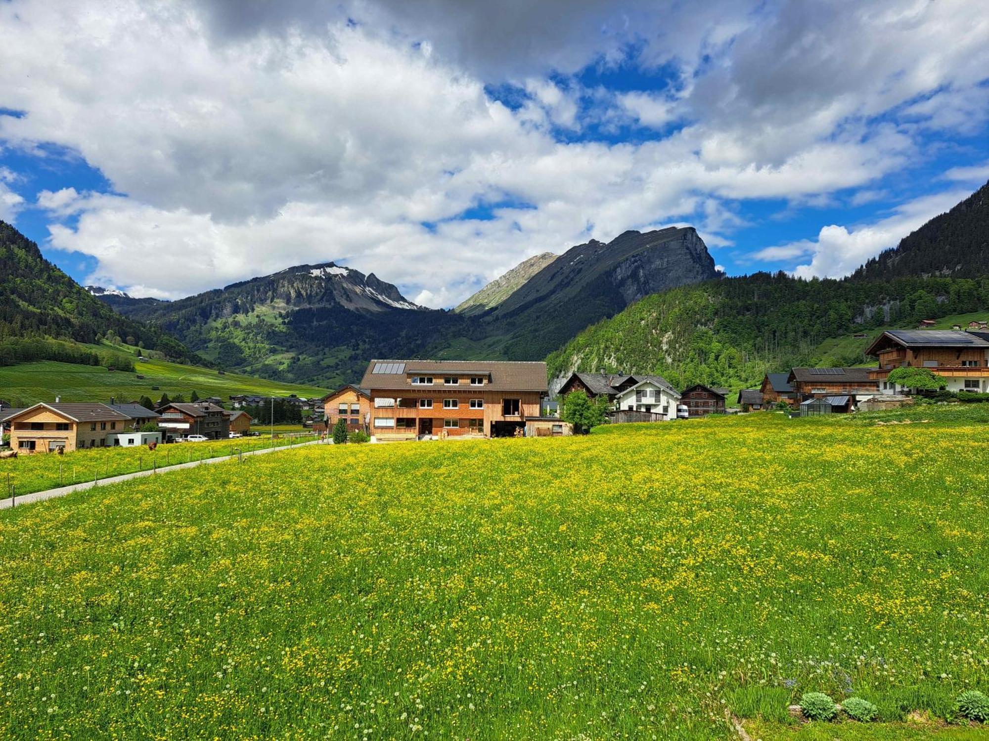 Familienfreundliches Bregenzerwaelderhaus Βίλα Au (Vorarlberg) Εξωτερικό φωτογραφία