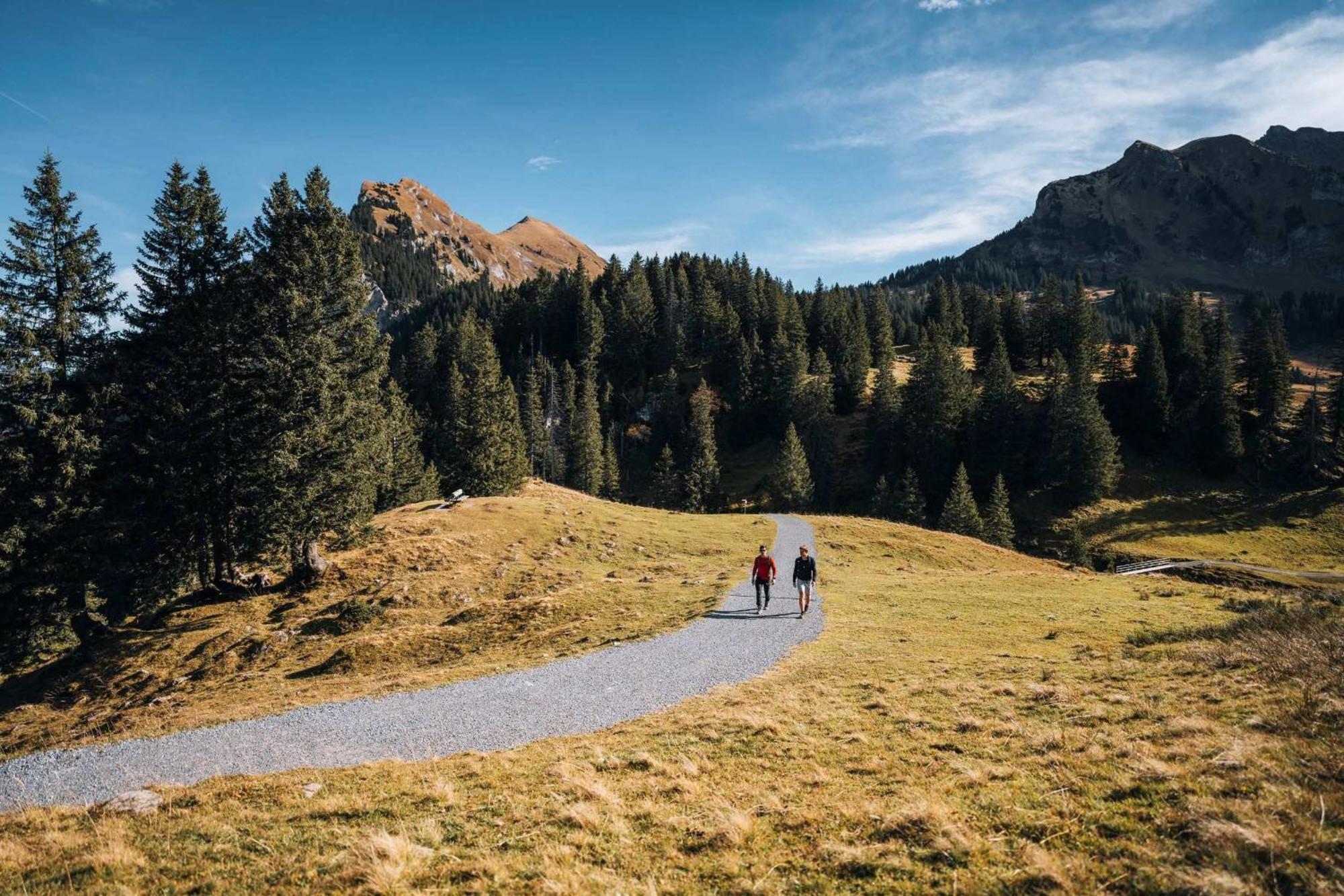 Familienfreundliches Bregenzerwaelderhaus Βίλα Au (Vorarlberg) Εξωτερικό φωτογραφία