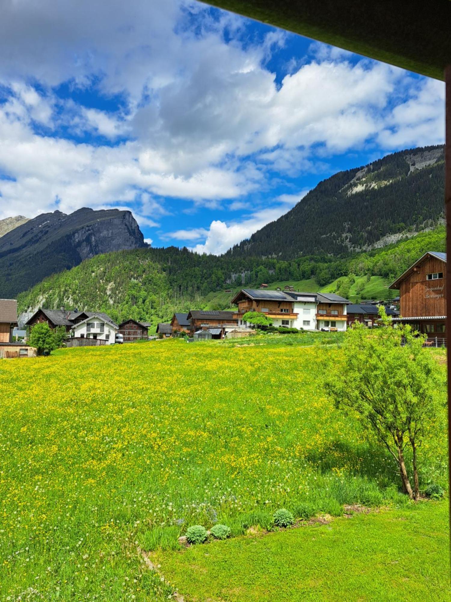 Familienfreundliches Bregenzerwaelderhaus Βίλα Au (Vorarlberg) Εξωτερικό φωτογραφία